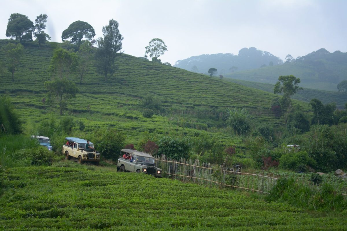 kebun teh malabar pangalengan